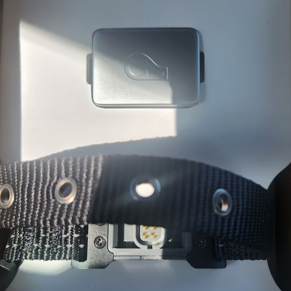 Whistle Pet Tracker Collar